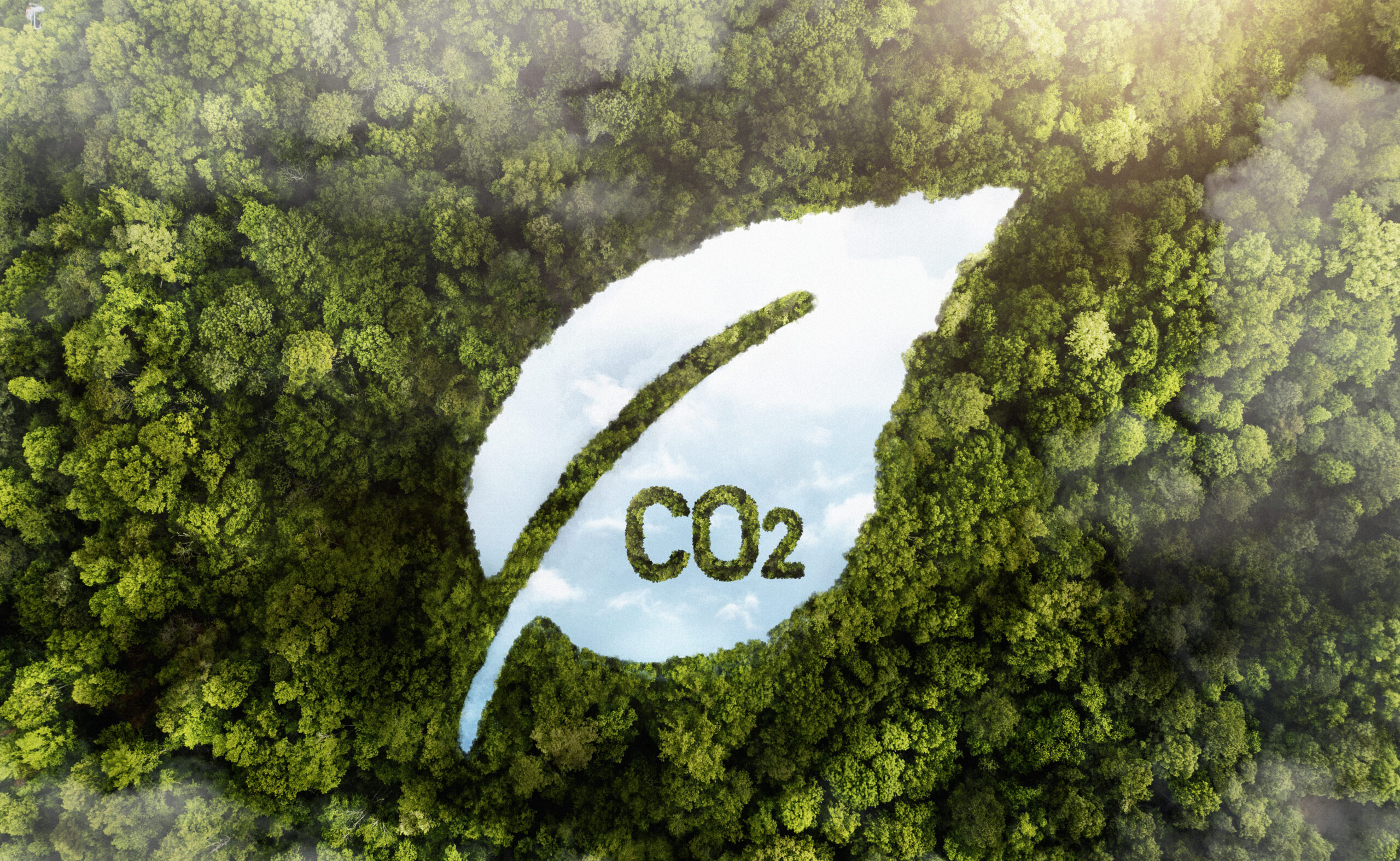 Manglai: la plataforma que convierte la huella de carbono en una ventaja competitiva